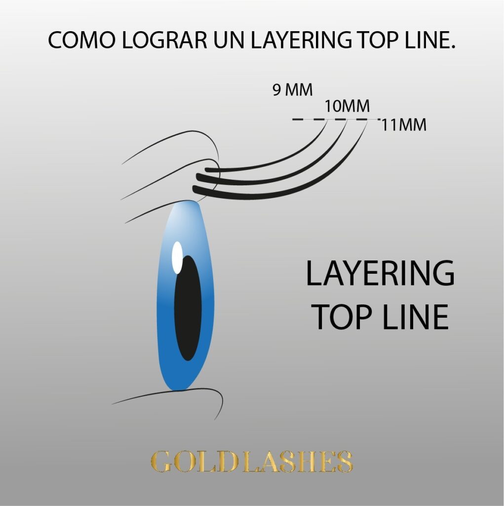 LINEA PERFECTA Copy – Gold academy
